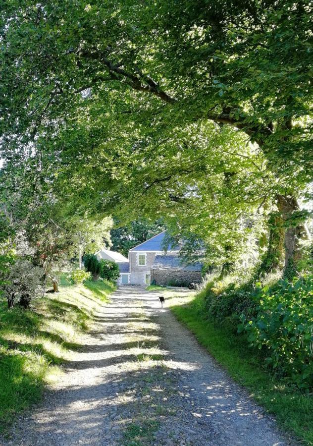 Cornwall, Looe - Magical Pendriffey Pelynt المظهر الخارجي الصورة