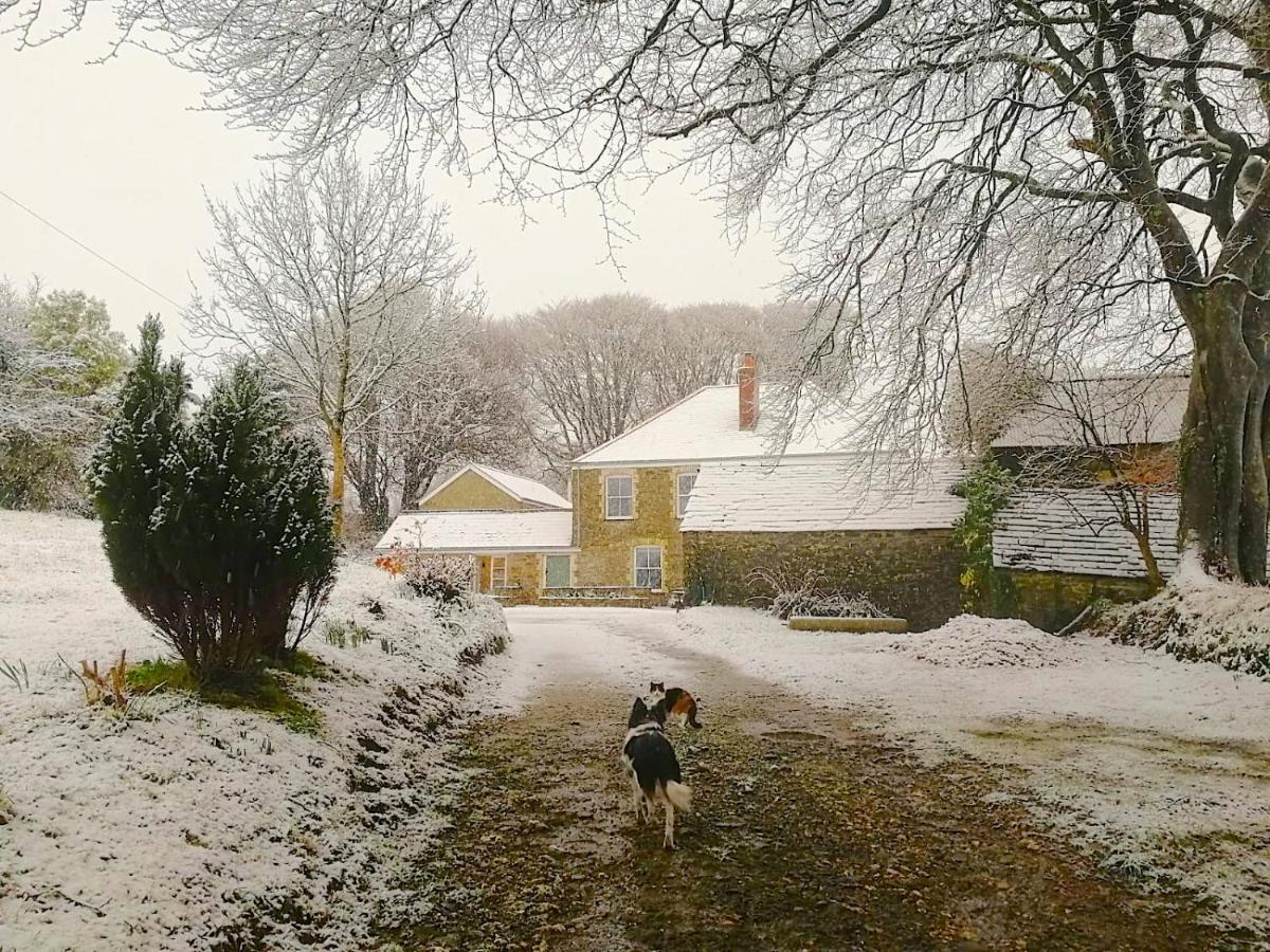 Cornwall, Looe - Magical Pendriffey Pelynt المظهر الخارجي الصورة