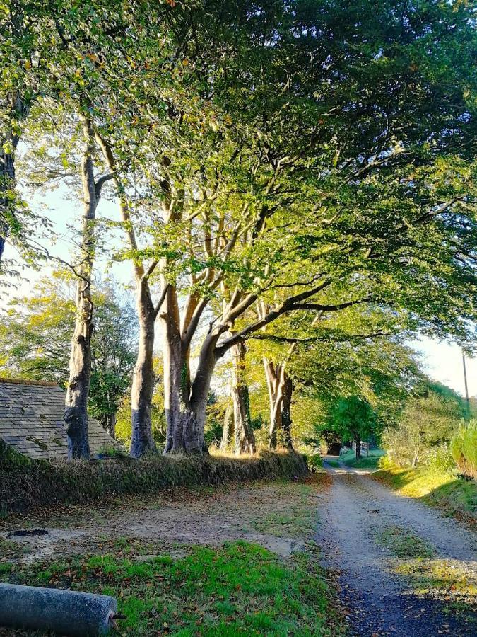 Cornwall, Looe - Magical Pendriffey Pelynt المظهر الخارجي الصورة